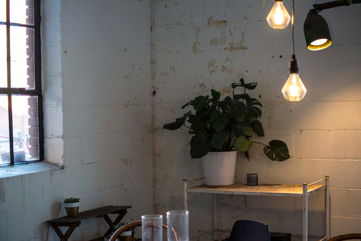 A potted plant sits on a white metal shelf against a worn white brick wall; two hanging light bulbs lend a warm, boho touch to the eco-inspired scene near a window. Soul Flower Blog: Hippie Style & Kind Living