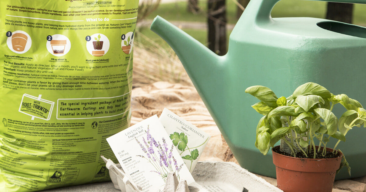 Planting for Pollinators