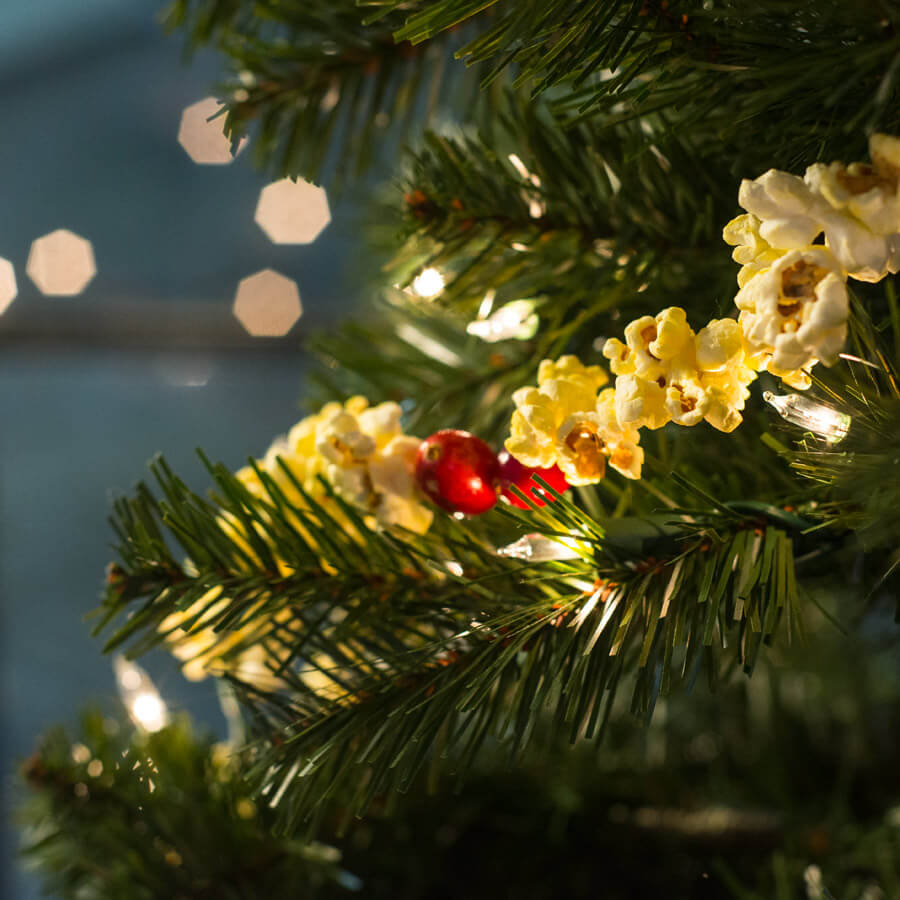 Close-up of a Christmas tree branch decorated with a string of popcorn, cranberries, and white lights for an eco-inspired holiday vibe. Soul Flower Blog: Hippie Style & Kind Living