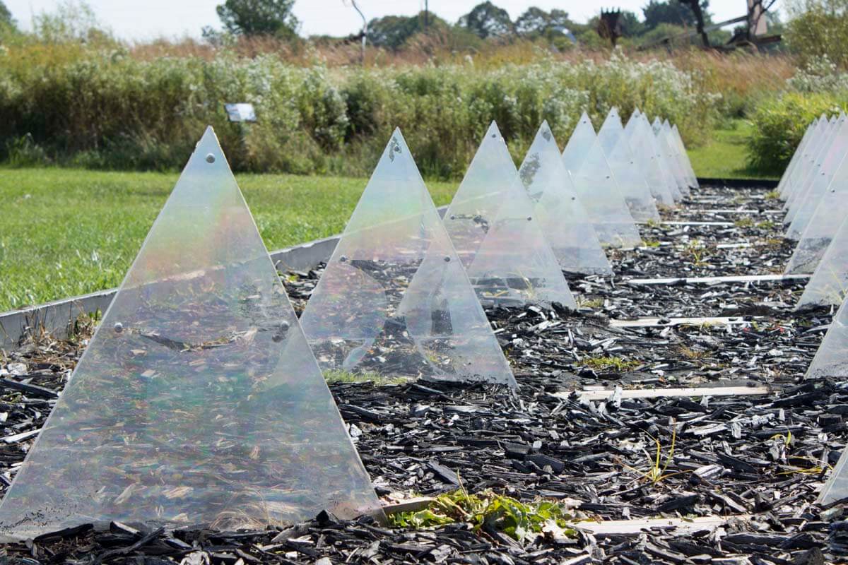 Several transparent triangular prisms are arranged in rows on a wood chip path, surrounded by grass and vegetation, creating a striking scene perfect for a Franconia Photoshoot. Soul Flower Blog: Hippie Style & Kind Living