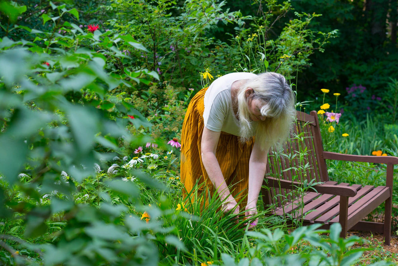 A Walk in the Garden