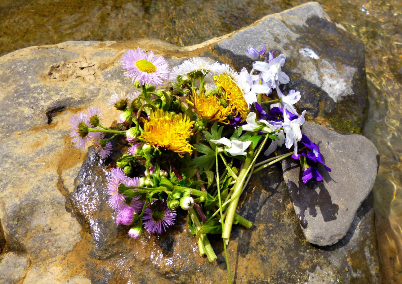 Modern Hippie Lifestyle - My Inner Hippie