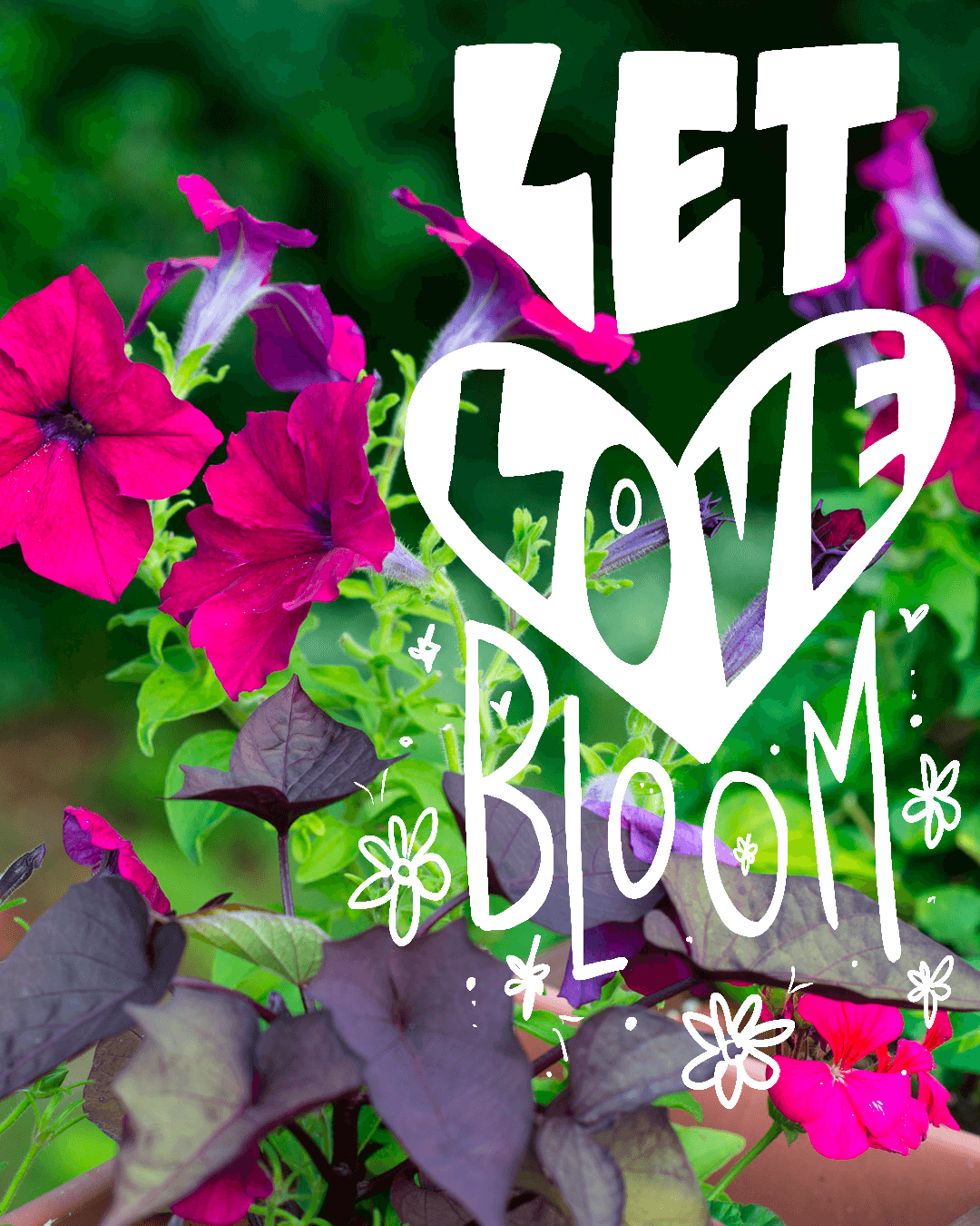 Bright pink petunias with green leaves in a boho garden, overlaid with the white handwritten text Let Love Bloom and small floral doodles. Soul Flower Blog: Hippie Style & Kind Living