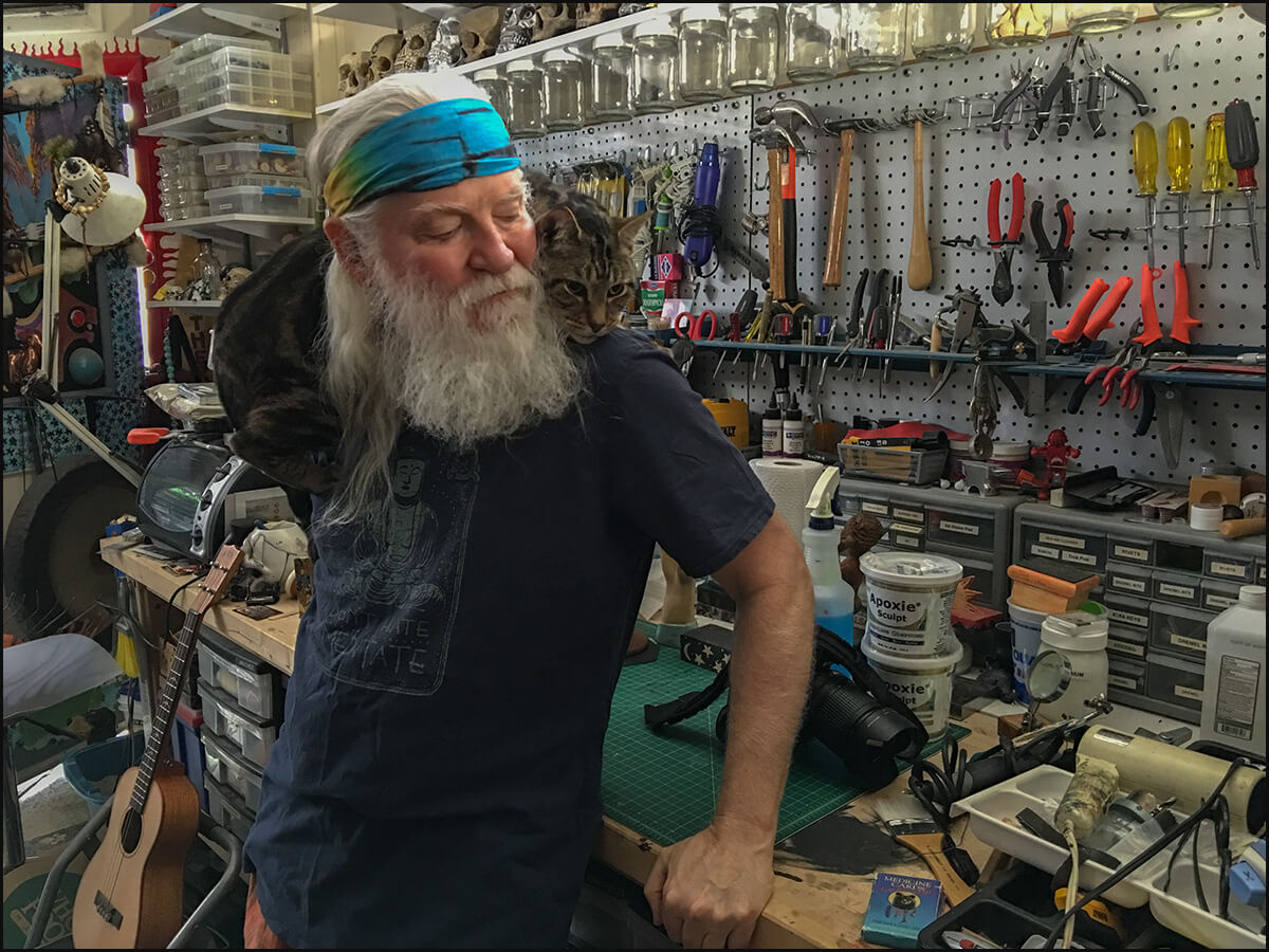 The Cats of Raven's Wing