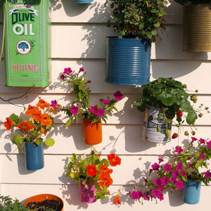 DIY Tin Can Planters: Turn Recycled Cans Into Funky Garden Pots