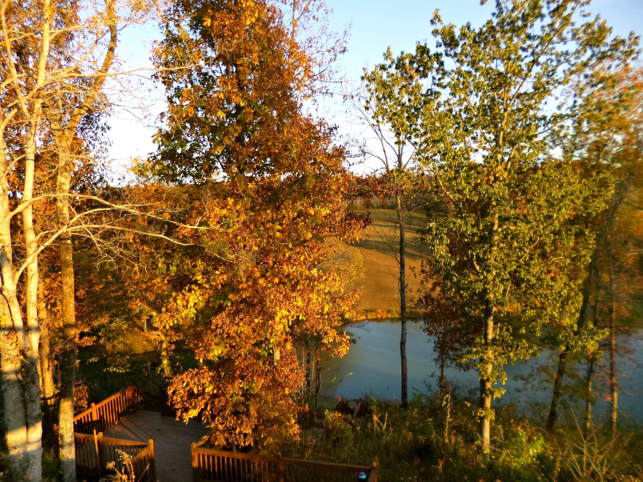 A small pond is partially visible behind autumn trees, with a wooden deck in the foreground and a grassy field in the background under a clear sky. Soul Flower Blog: Hippie Style & Kind Living