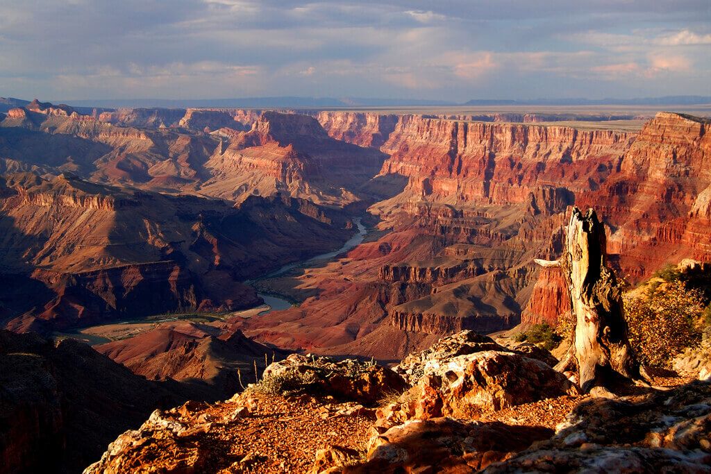 Earth Day Tips & Helpful Articles