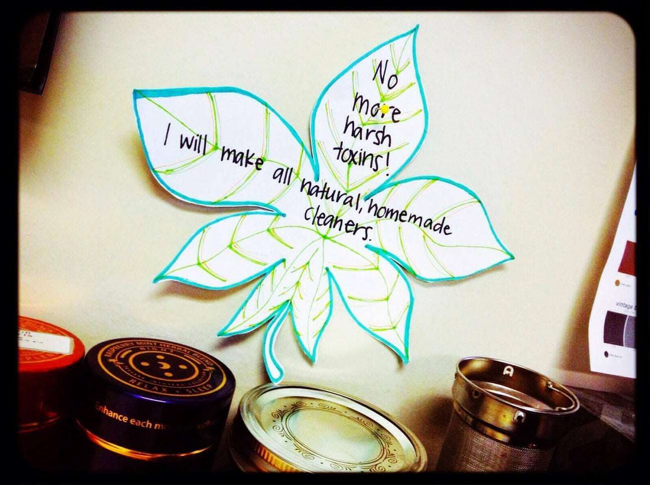 Celebrating Earth Year