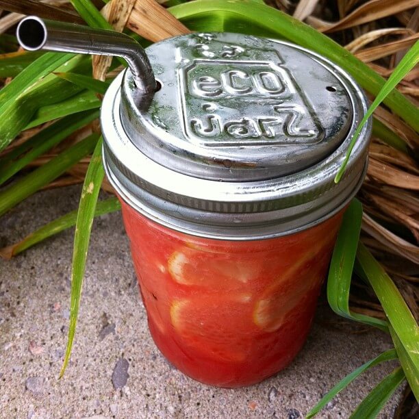 A mason jar filled with a red drink and lemon slices, covered with a metal lid labeled “EcoJarz” and a metal straw, sits on concrete next to green leaves—perfect for earthy, boho vibes. Soul Flower Blog: Hippie Style &