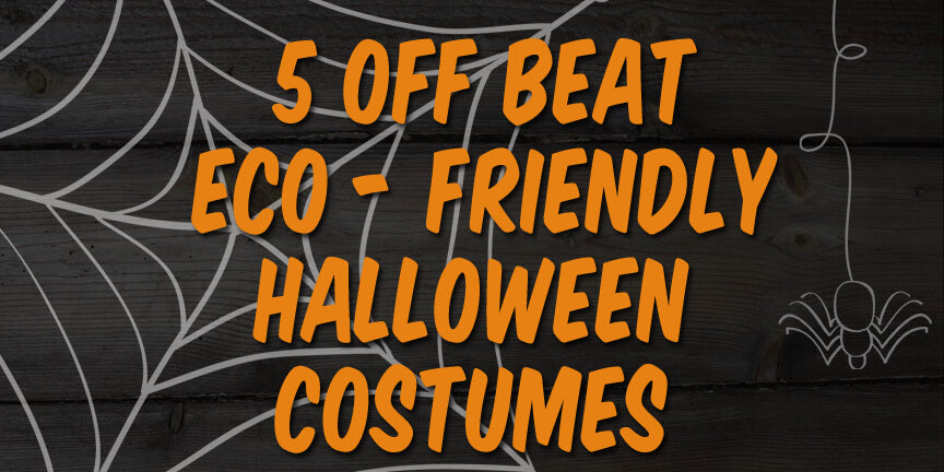 Text reading 5 Eco-Friendly Halloween Costumes in bold orange font over a dark wood background, accented with spider web and spider graphics. Soul Flower Blog: Hippie Style & Kind Living