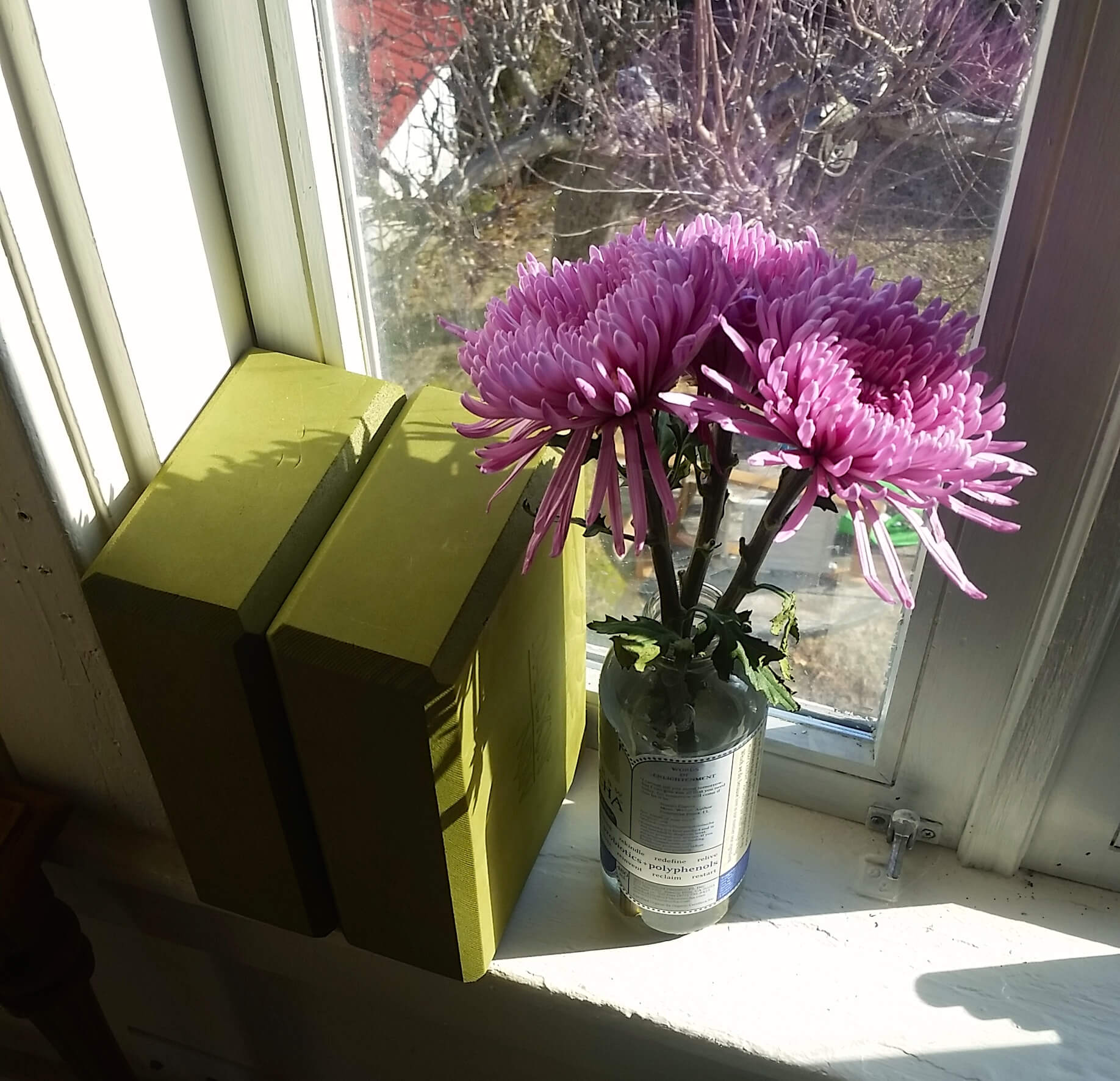 A small bouquet of purple flowers in a glass jar sits on a windowsill next to two green rectangular blocks, catching sunlight—a simple reminder to Tend Your Garden and nurture beauty every day. Soul Flower Blog: Hippie Style & Kind Living