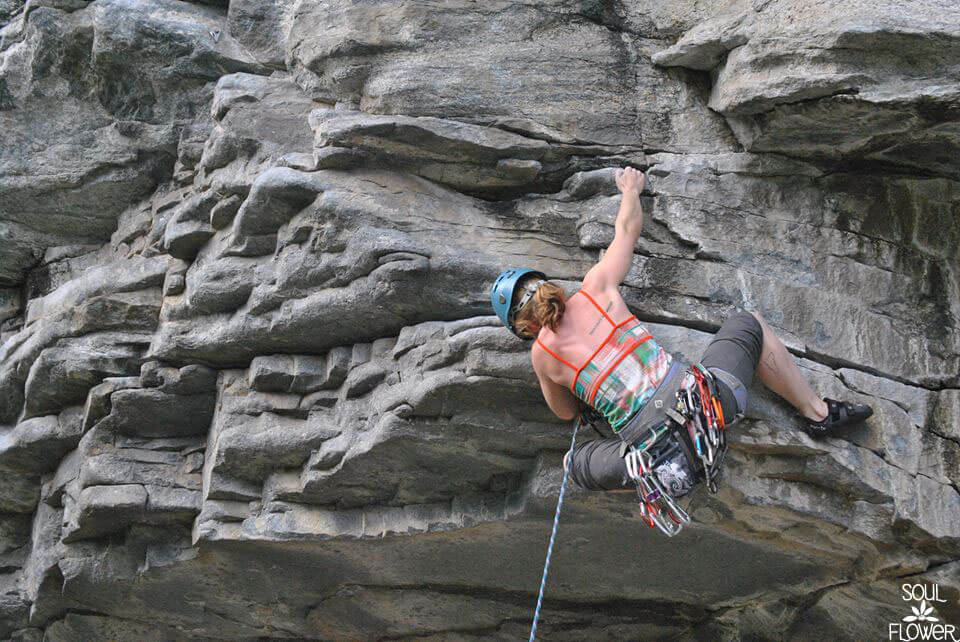 2015 Vibe Tribers - Mara, Brooke, & Melina!