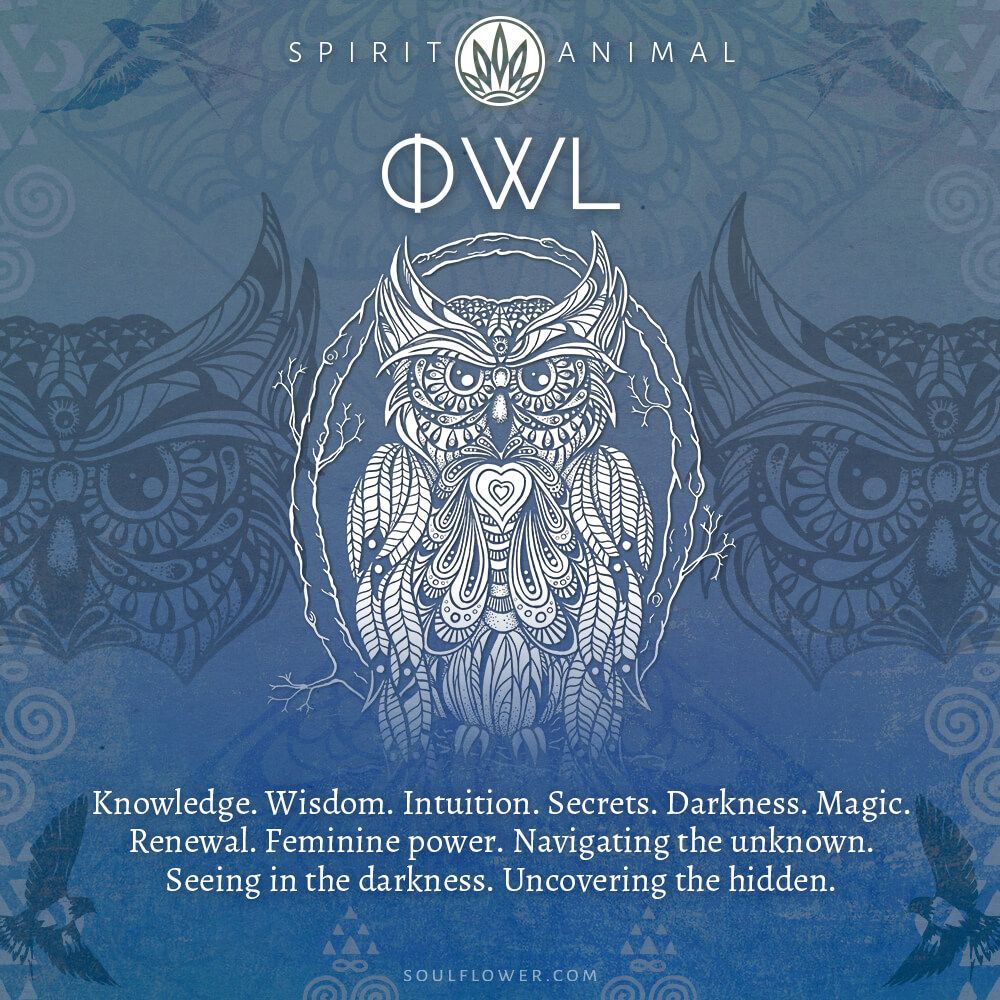 Owl Symbolism - Owl Spirit Animal
