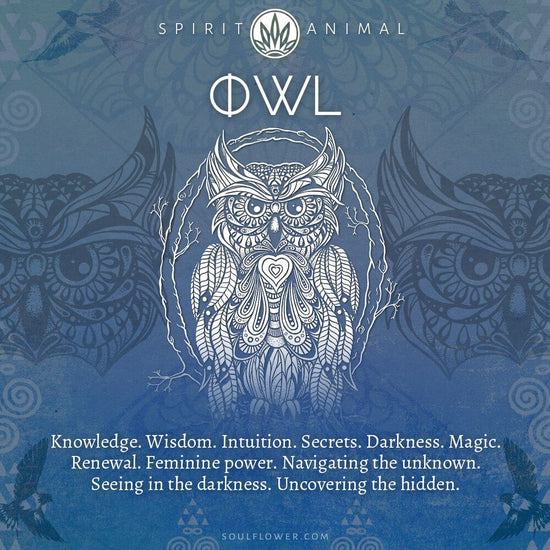 Owl Symbolism & Meaning | Owl Spirit Animal Guide | Soul Flower