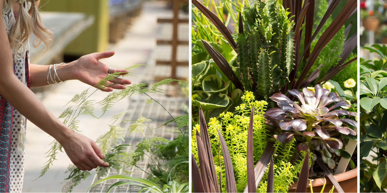 Spring Habits Giveaway