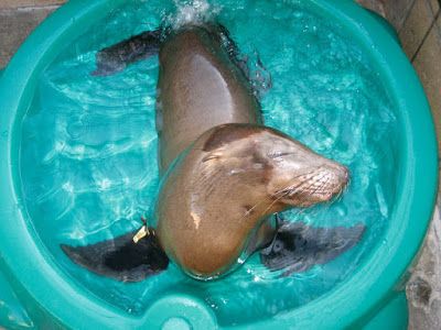 Volunteering - Kindness Matters