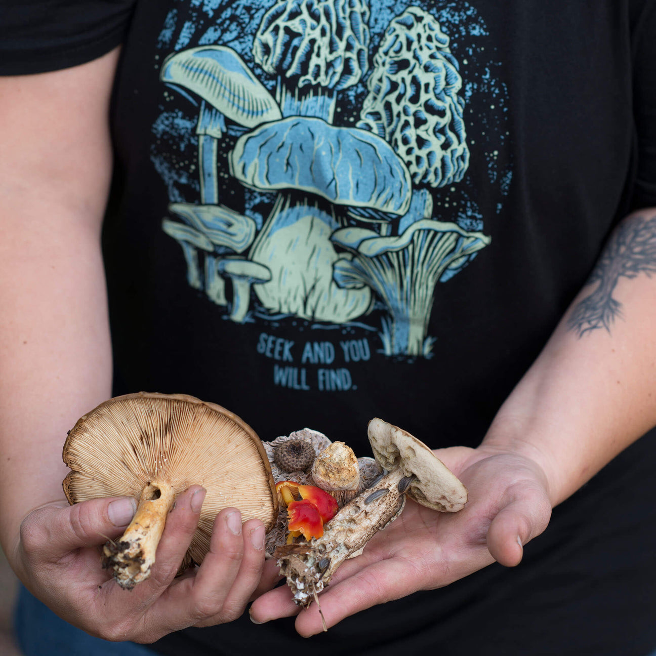 A person with a tattoo holds various wild mushrooms in their hands. They wear a black shirt featuring illustrated mushrooms and the words SEEK AND YOU WILL FIND—perhaps a nod to the question: Why are Mushrooms Everywhere Right Now?.