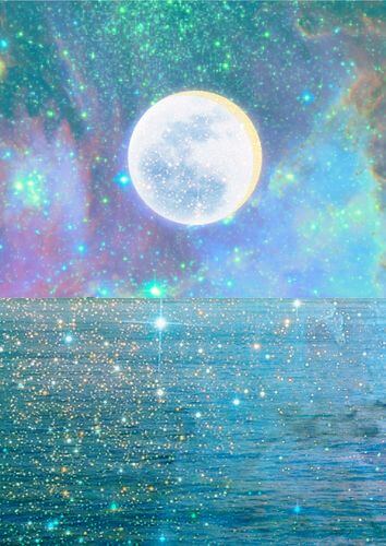 Top Pins February 2016