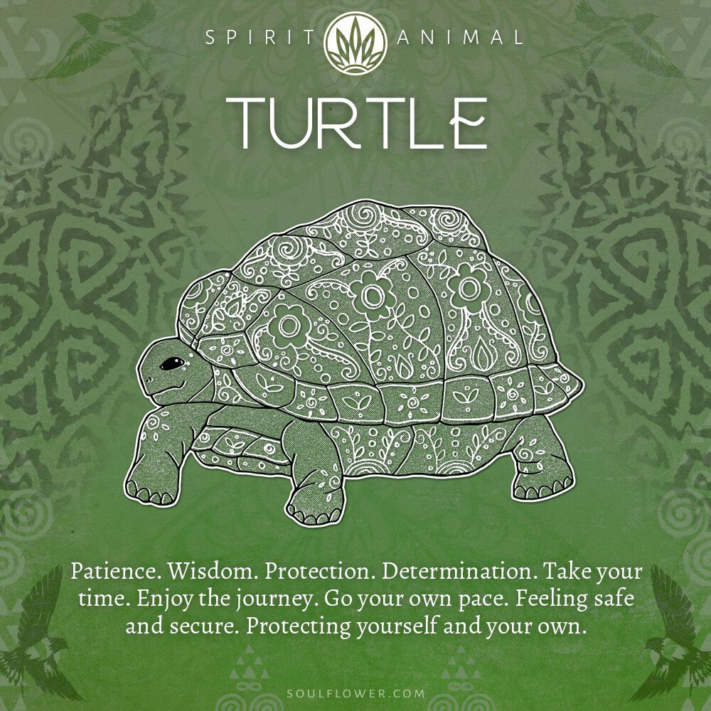Illustrated turtle with decorative white patterns on a green patterned background. Text above reads “Spirit Animal Turtle.” Below, Turtle Symbolism highlights patience, wisdom, protection, and determination with a short inspirational message.