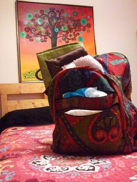 Dandelion Wine Backpack