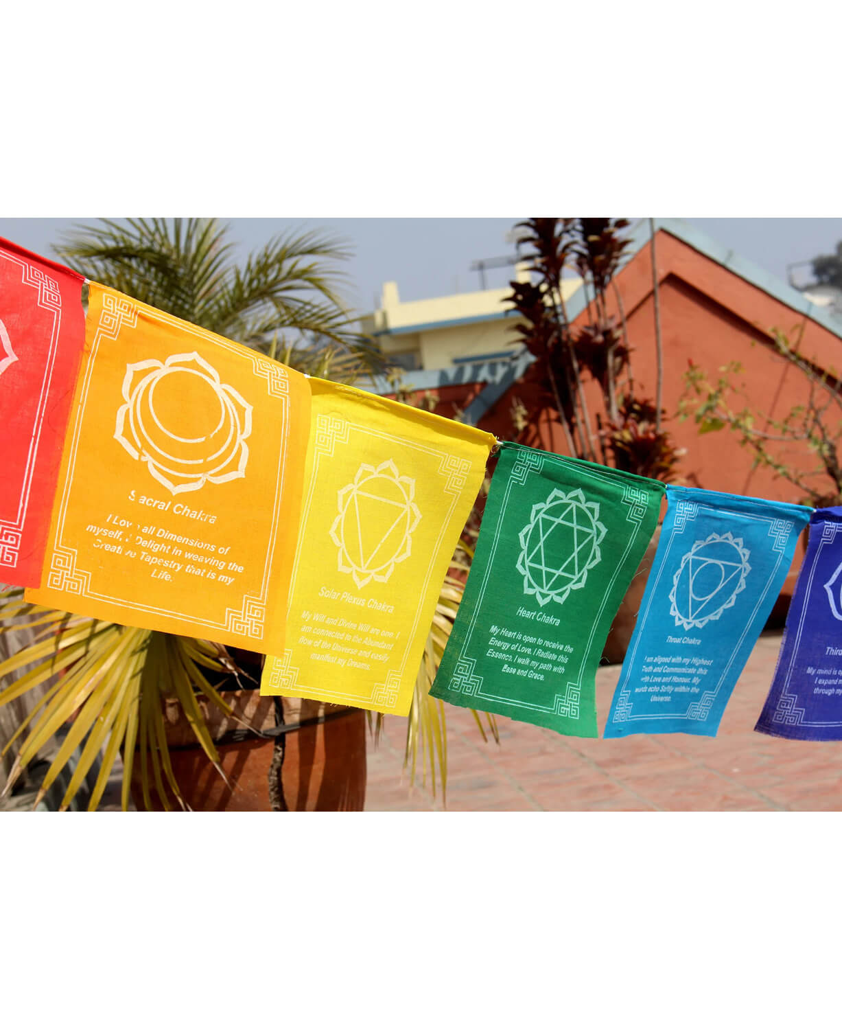 Rainbow Chakra Prayer Flags