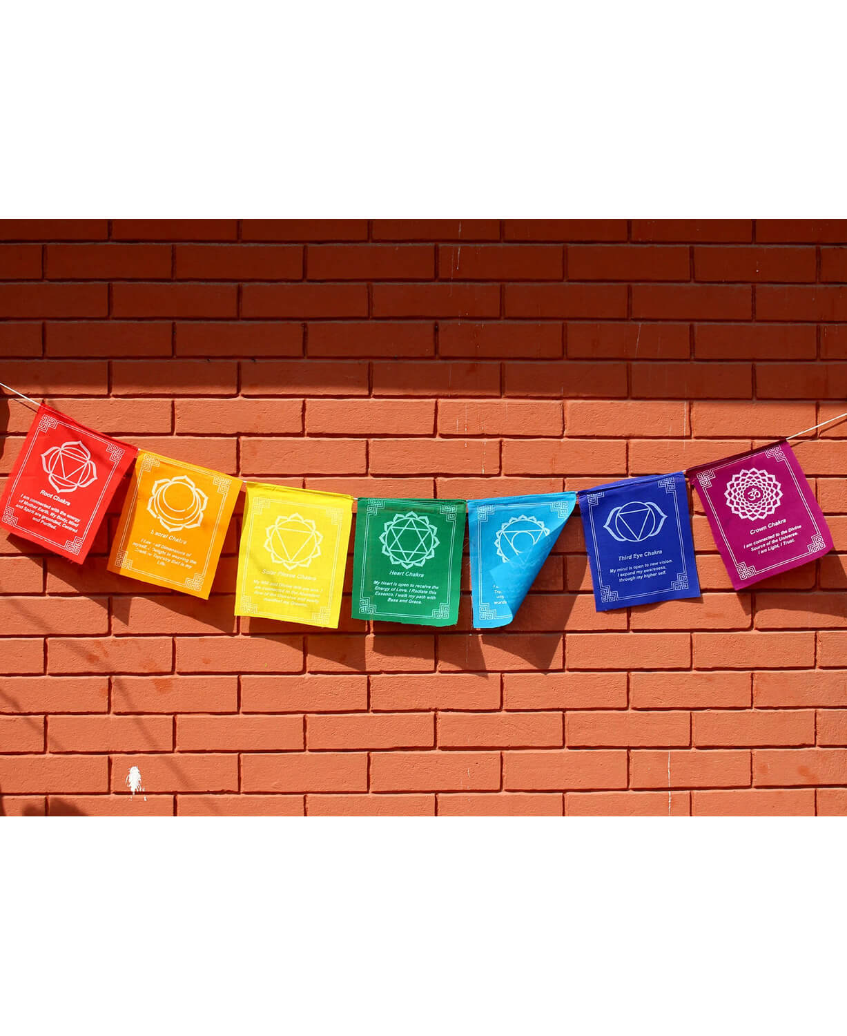 Rainbow Chakra Prayer Flags