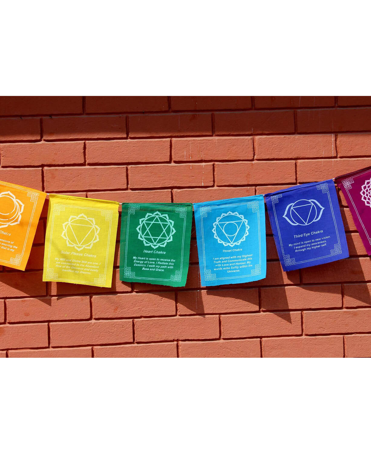 Rainbow Chakra Prayer Flags