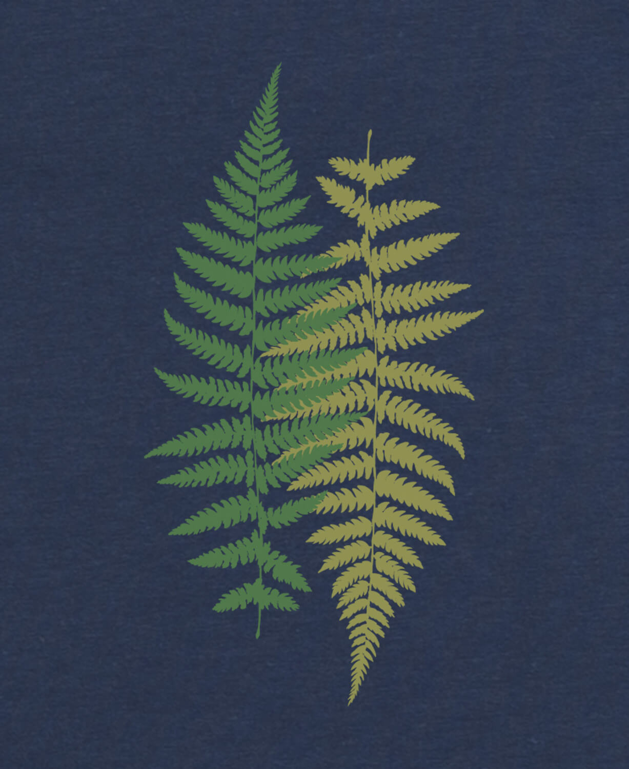 Ferns Bamboo Dolman Top