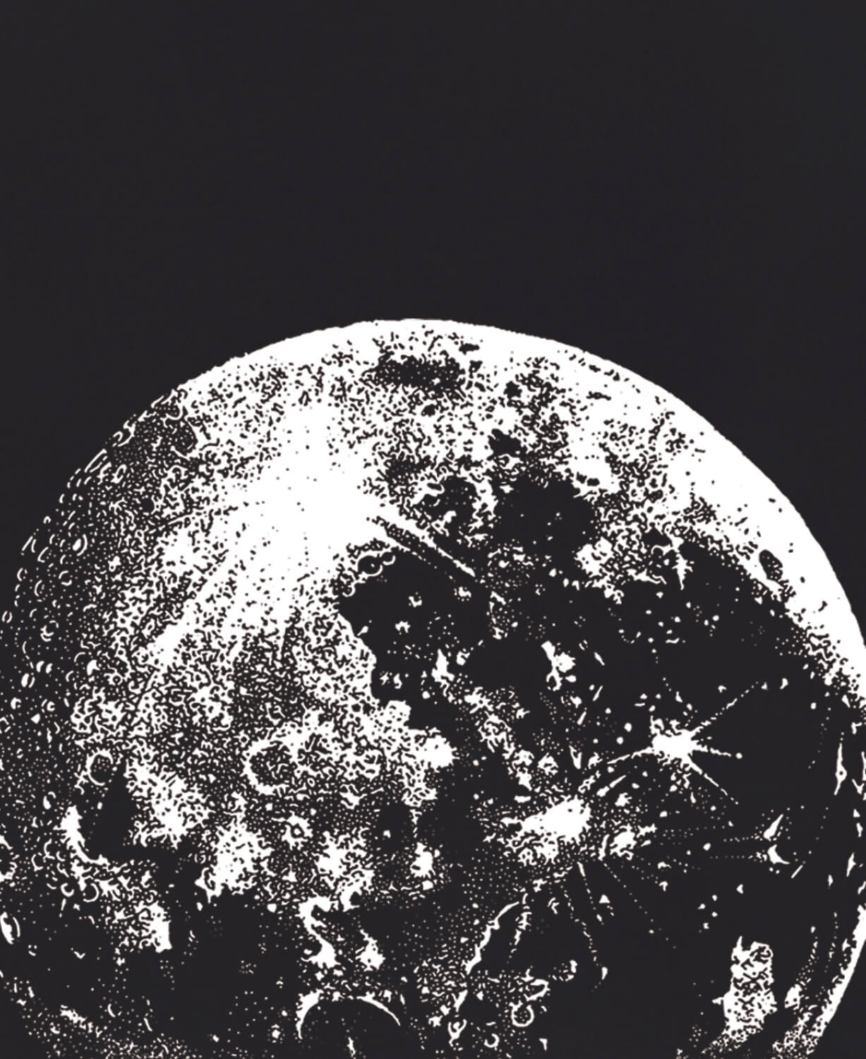 Rising Moon Flowy Pants