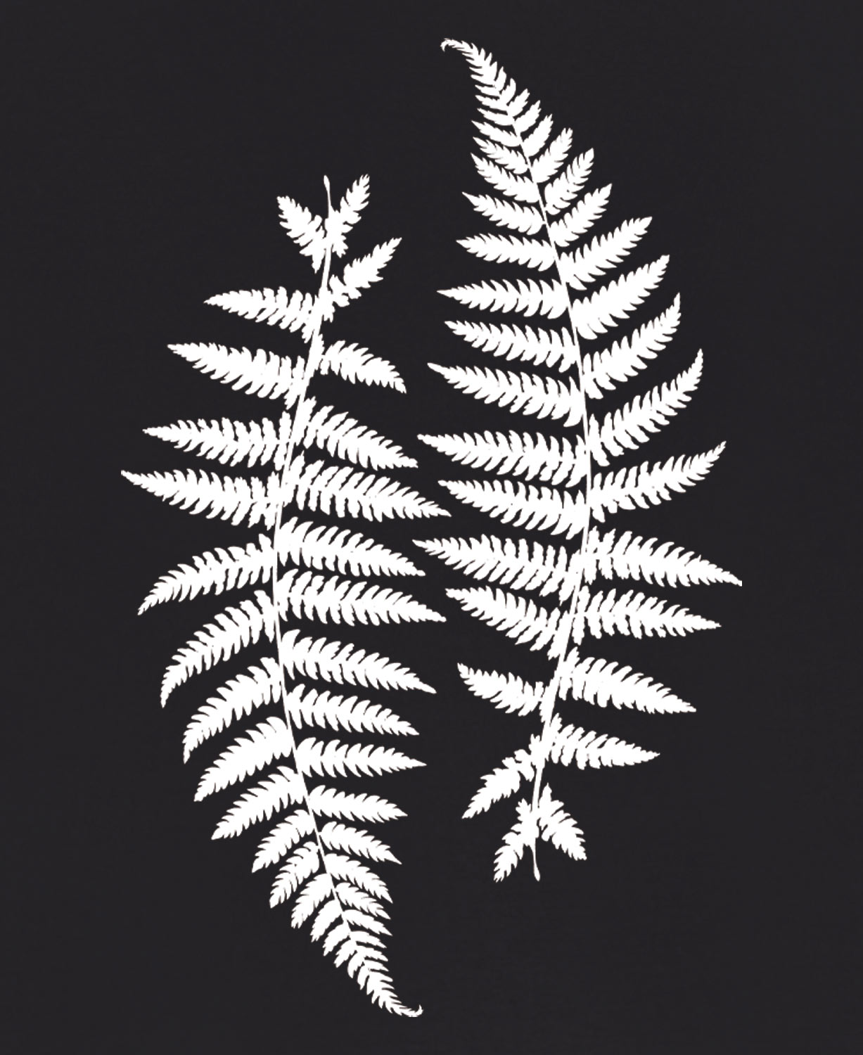 Ferns Flowy Pants in Black