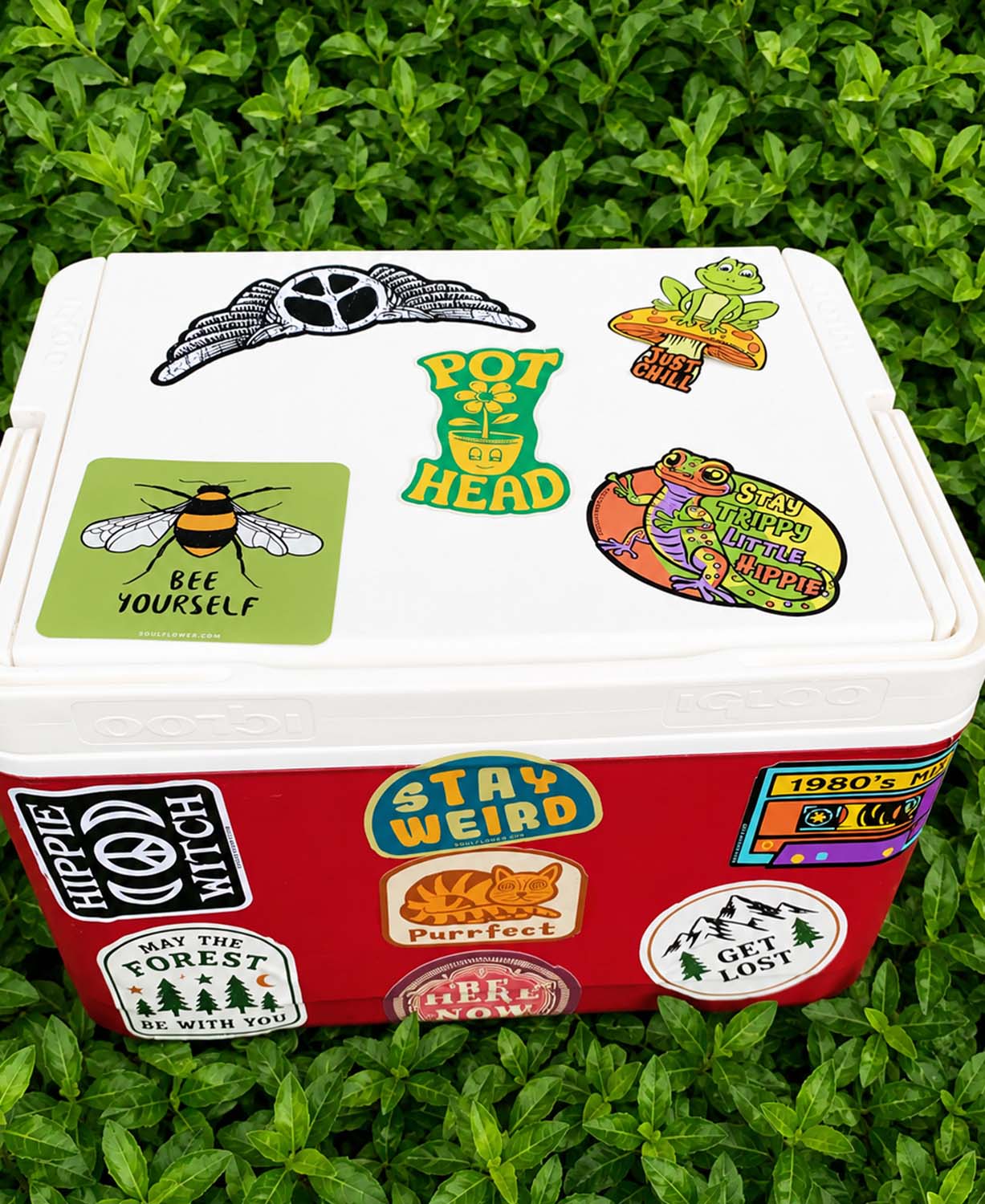 A red and white cooler covered in various colorful retro-style stickers, placed on a bed of green leaves.