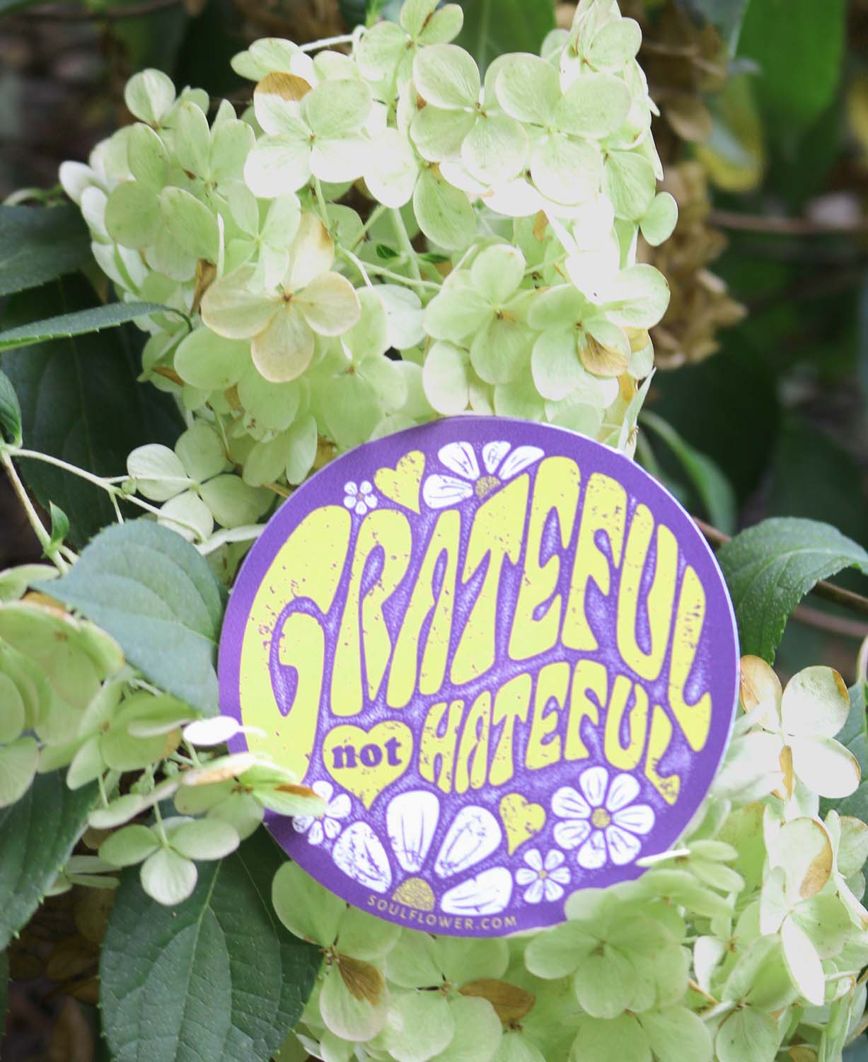 Grateful Not Hateful Sticker