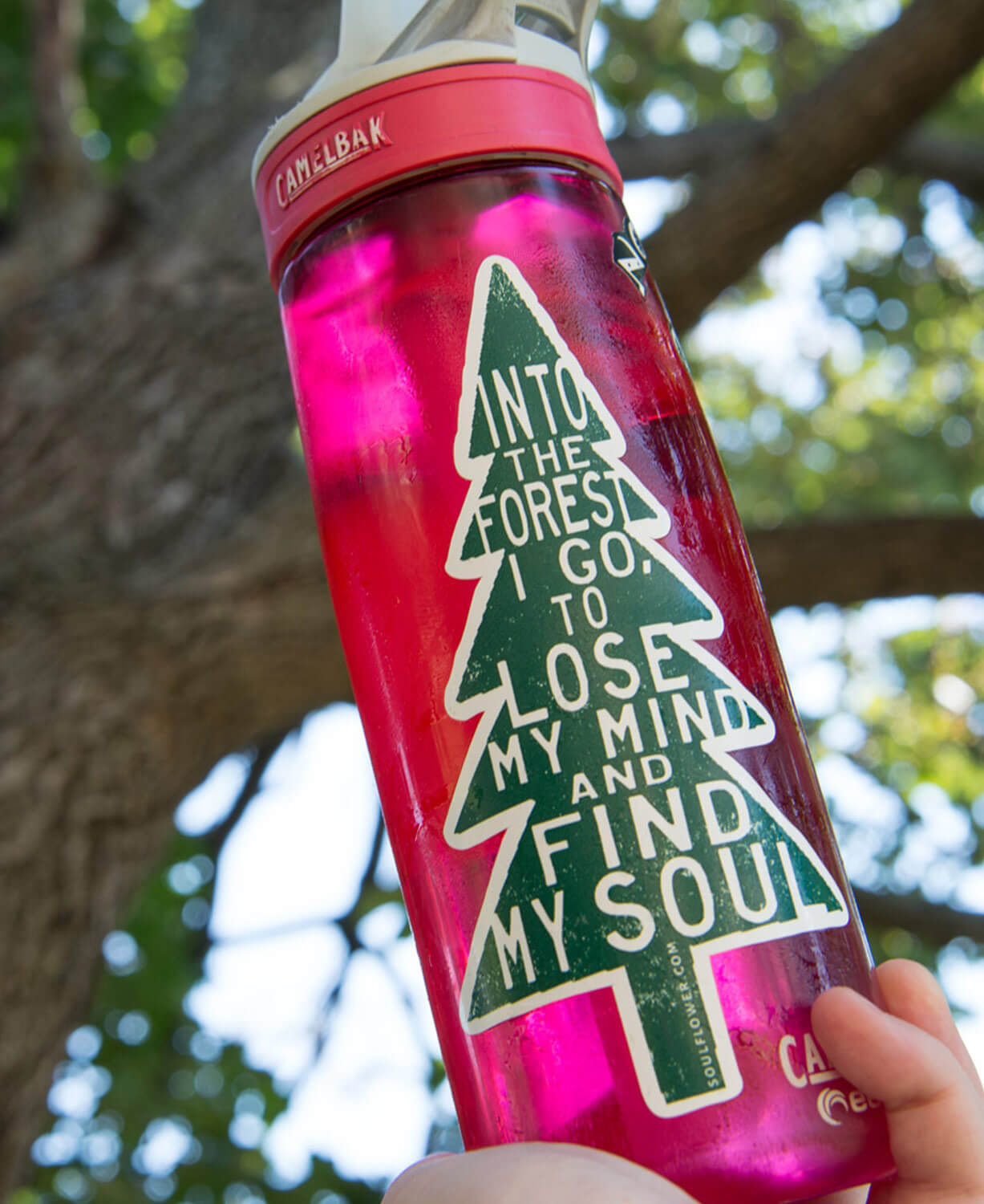 Into the Forest Sticker