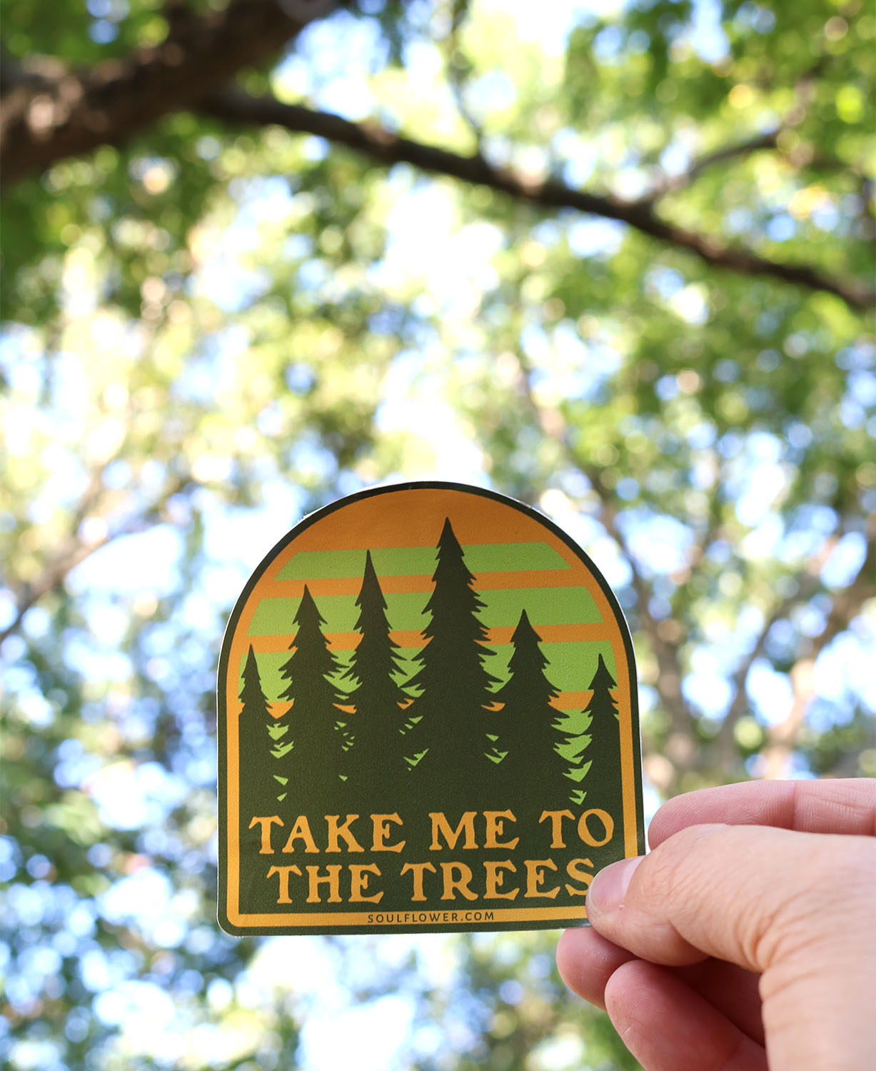 Take Me To The Trees Sticker