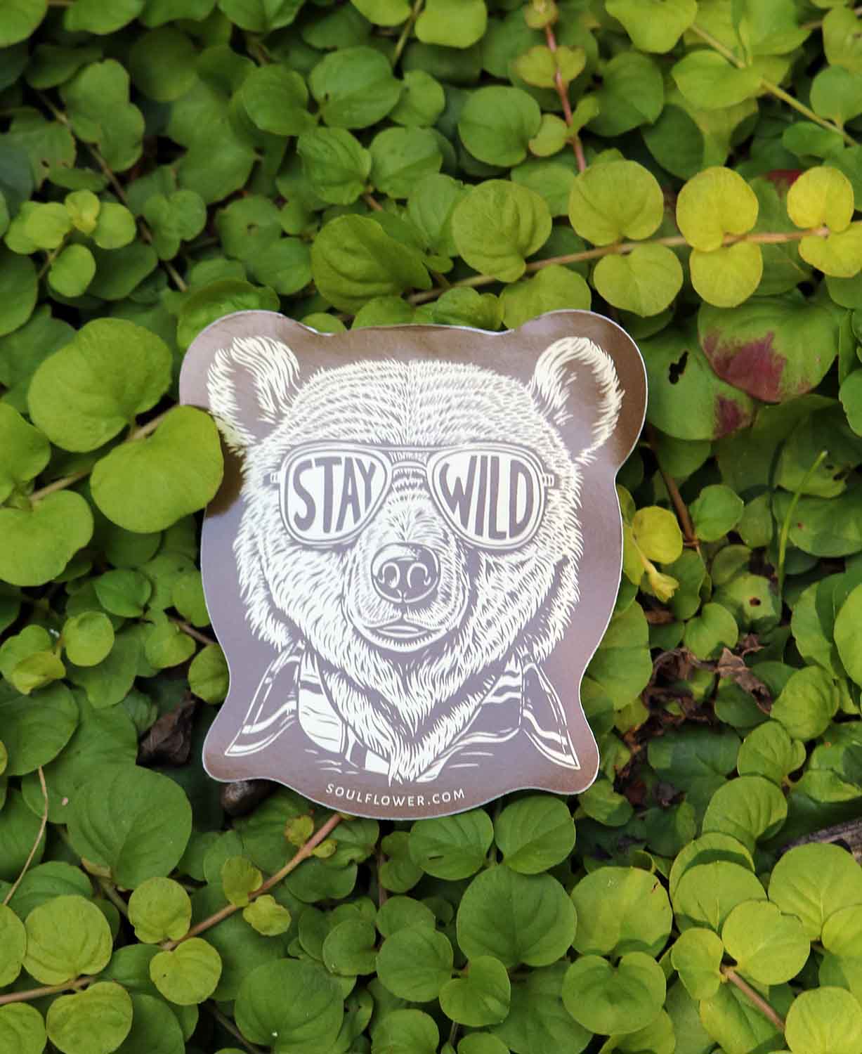 Stay Wild Bear Sticker