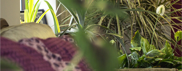 <p>Soul Flower is committed to making cool threads with respect to people and to the planet. We have strict (and really positive!) environmental standards we follow in production and in our everyday operations. But with all the labels, interpretations and standards in our world, it's hard to know what really means something these days. So in addition to always using organic, recycled and other eco-friendly resources, we have chosen a few organizations to work with and certify our processes so we can proudly stand behind our commitment as a sustainable clothing company. Read more about our <a href="/pages/green-practices" title="Green Practices">other environmental efforts</a></p>