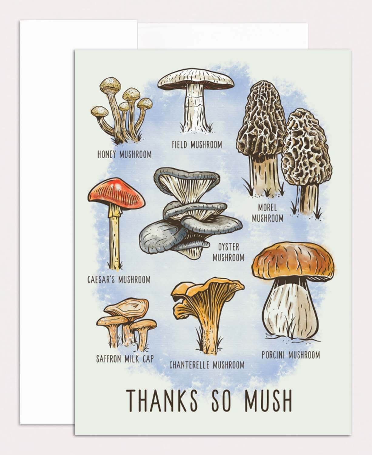 NEW! Thanks So Mush Greeting Card