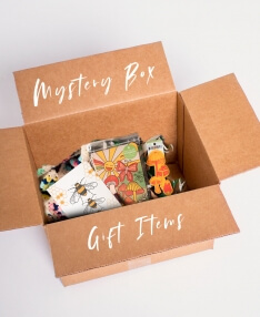 Wholesale Gifts Mystery Box - 30 or more mystery gift items!