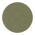 Olive Swatch