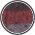 Plum Swatch